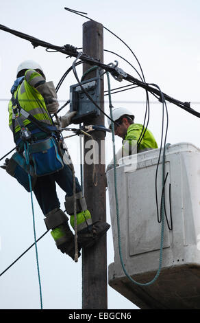 Deux travailleurs de l'alimentation de remplacement des câbles électriques. Banque D'Images