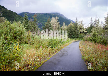 Petite route menant dans les bois à Portage Valley, Alaska Banque D'Images