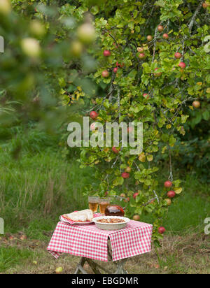 Produits Apple disposés sur une table dans le vieux verger Banque D'Images