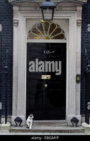 Westminster London,UK. 1er décembre 2014. Larry le chat est assis devant la porte du 10 Downing Street sur une journée froide Crédit : amer ghazzal/Alamy Live News Banque D'Images