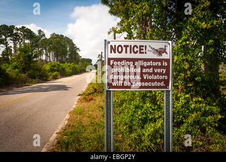 Panneau d'avertissement d'Alligator adjacent à un parc d'état Gulf State Park en route le long de la côte du golfe de l'Alabama . Banque D'Images