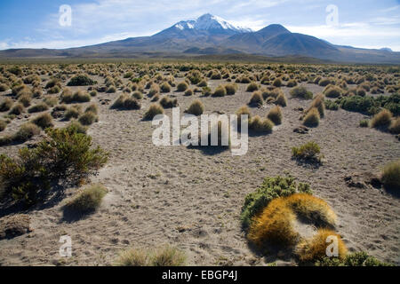 Le paysage dans le Parc National du Volcan Isluga, Chili Banque D'Images