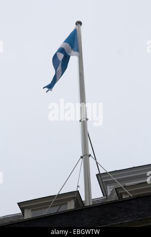 Westminster London,UK. 1er décembre 2014. Le sautoir écossais vole à Downing Street pour marquer la St Andrew's day Crédit : amer ghazzal/Alamy Live News Banque D'Images