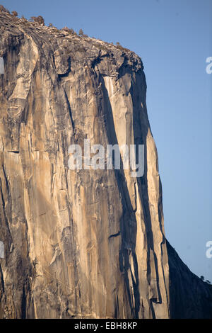 Des formations rocheuses, El Capitan, Yosemite Valley, Yosemite National Park, California, USA Banque D'Images