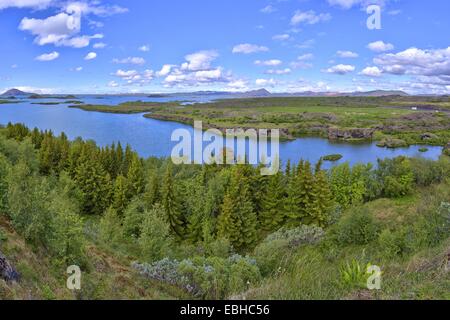 Au lac Myvatn, l'Islande, Nordurland Eystra Skutustadir, Banque D'Images