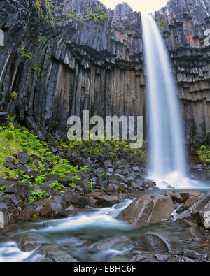 Cascade, Svartifoss, Islande, Skaftafell, Austurland Banque D'Images