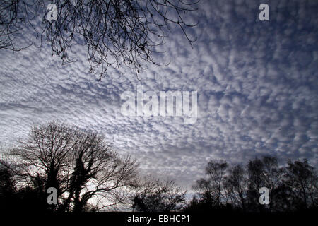 Stratiformis Altocumulus translucidus, Allemagne Banque D'Images