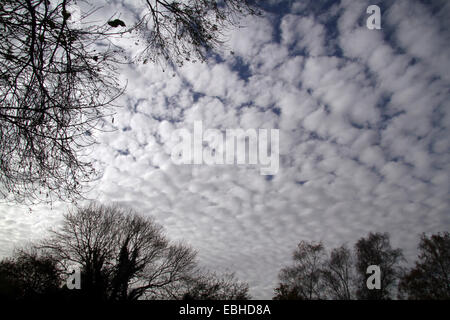 Stratiformis Altocumulus translucidus, Allemagne Banque D'Images