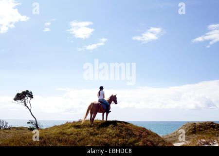 Horse Rider sur colline, Pakiri Beach, Auckland, Nouvelle-Zélande Banque D'Images