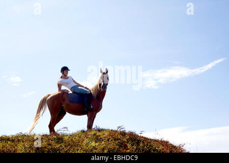 Horse Rider sur colline, Pakiri Beach, Auckland, Nouvelle-Zélande Banque D'Images