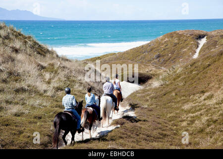 Les cavaliers de descendre à Pakiri Beach, Auckland, Nouvelle-Zélande Banque D'Images