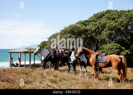 L'équitation, Pakiri Beach, Auckland, Nouvelle-Zélande Banque D'Images