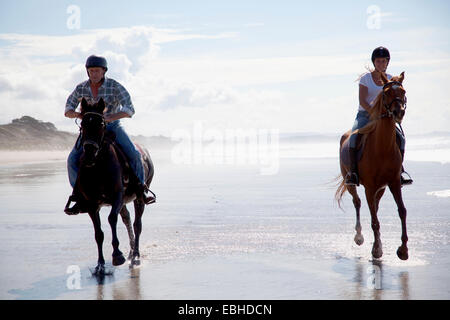 Les cavaliers au galop, Pakiri Beach, Auckland, Nouvelle-Zélande Banque D'Images