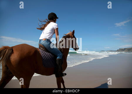 L'équitation, Pakiri Beach, Auckland, Nouvelle-Zélande Banque D'Images