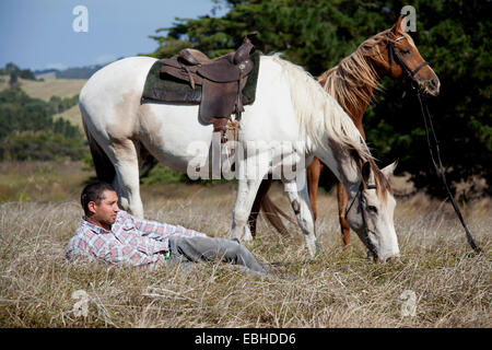 Horse Rider prendre de pause dans l'herbe, Pakiri Beach, Auckland, Nouvelle-Zélande Banque D'Images