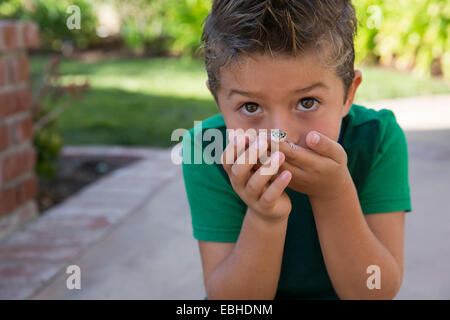 Close up portrait of boy holding malicieux gecko Banque D'Images