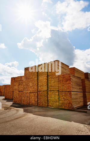 Rangées de planches de bois empilés en cour Banque D'Images