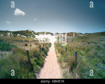 Chemin à travers les dunes, Formby, Angleterre Banque D'Images