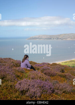 Walker en heather, paysage de montagne, au nord du Pays de Galles Conwy Banque D'Images