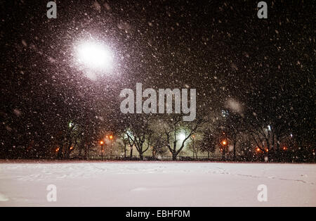 Parc et des candélabres en tempête de neige Banque D'Images