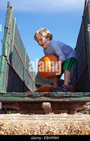 Boy carrying pumpkin sur chariot Banque D'Images