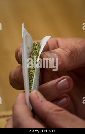 Close up of fingers de rouler un joint de marijuana avec une faible profondeur de champ Banque D'Images