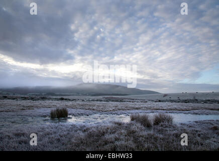 Scène d'hiver sur le Daudraeth Illtud commun dans le parc national de Brecon Beacons, avec brouillard et ciel couvert et une forte gelée Banque D'Images