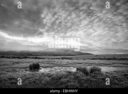 Scène d'hiver sur le Daudraeth Illtud commun dans le parc national de Brecon Beacons, avec brouillard et ciel couvert et une forte gelée Banque D'Images