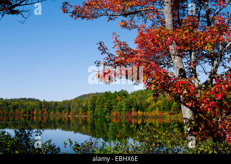 Rivière eau scène lac montagnes Adirondack dans l'automne l'automne de l'année. Banque D'Images