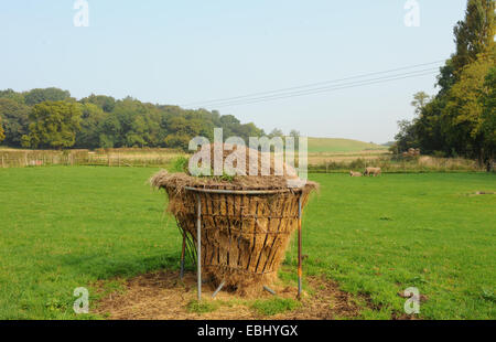 Une alimentation animale de métal sur les couteliers ferme près de Stratford Upon Avon, dans le Warwickshire, Angleterre, RU Banque D'Images