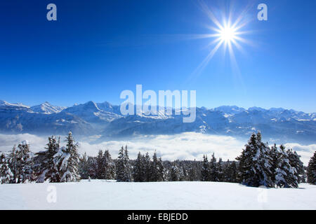 Vue depuis de Niederhorn Dreigestirn, Eiger, Moench et Jungfrau, Suisse, Alpes Bernoises Banque D'Images