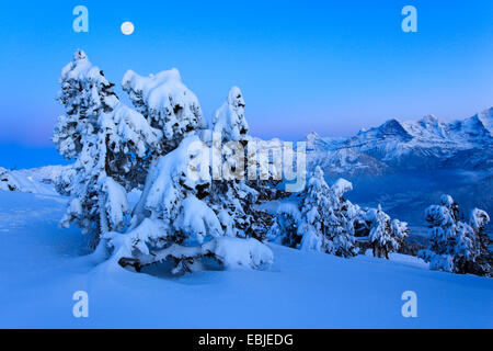 Vue depuis de Niederhorn Dreigestirn Eiger, Jungfrau, Moench et à la pleine lune, Suisse, Oberland Bernois, Alpes Bernoises Banque D'Images