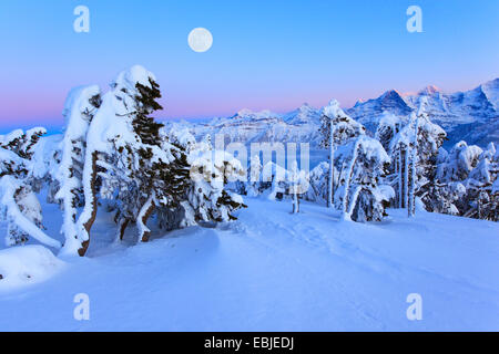 Vue depuis de Niederhorn Dreigestirn Eiger, Jungfrau, Moench et à la pleine lune, Suisse, Oberland Bernois, Alpes Bernoises Banque D'Images