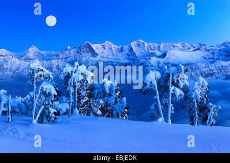 Vue depuis de Niederhorn Dreigestirn Eiger, Jungfrau, Moench et à la pleine lune, Suisse, Oberland Bernois, Alpes Bernoises Banque D'Images