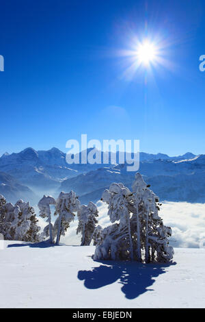 Vue depuis de Niederhorn Dreigestirn, Eiger, Moench et Jungfrau, Suisse, Alpes Bernoises Banque D'Images