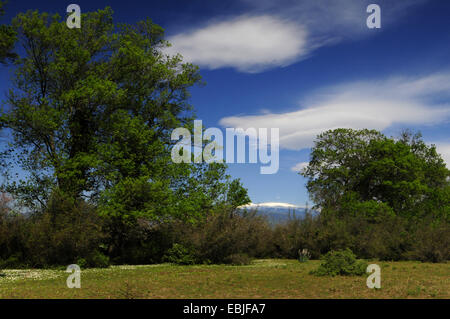 Vue sur une prairie bordée d'arbres et arbustes à l'Olympe, la Grèce, la Macédoine, l'Olymp Banque D'Images