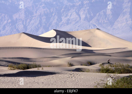 Photographe de la nature dans les dunes de sable en face de la paroi monumentale crise, Etats-Unis, Californie, Death-Valley-Nationalpark, Stovepipe Wells Banque D'Images