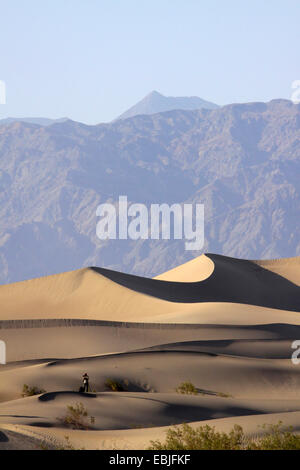 Photographe de la nature dans les dunes de sable en face de la paroi monumentale crise, Etats-Unis, Californie, Death-Valley-Nationalpark, Stovepipe Wells Banque D'Images