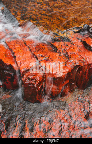 Lit de rivière de Jasper, Quebrada de jaspe, Venezuela, Parc national Canaima Banque D'Images