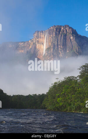 Angel Falls, Venezuela, Camaina Auyan-Tepui, Parc National Banque D'Images