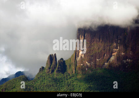 Kukenan Tepui dans les nuages, Venezuela, Parc national Canaima Banque D'Images