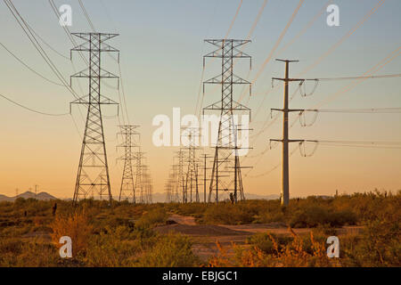 Poteaux d'électricité et les lignes à haute tension dans le désert, USA, Arizona Sonora, Banque D'Images