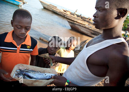 Un concessionnaire de vendre du poisson frais, du Burundi, de Mvugo, Nyanza Lac Banque D'Images