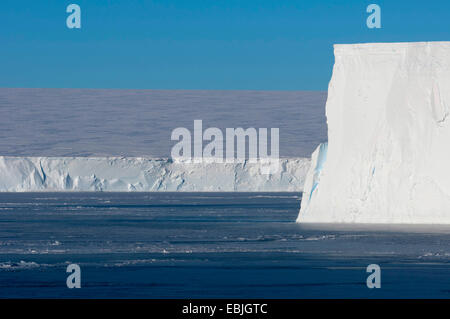 Bord d'une table iceberg près de l'iceberg de l'Antarctique, lieu de repos, Austasen Banque D'Images