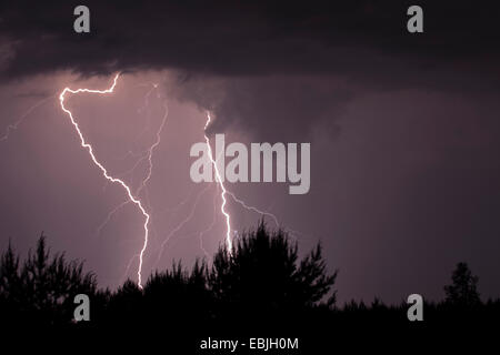 Orage, Allemagne, Saxe, Bavière, Nochten Banque D'Images