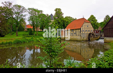 Jardin du Palais de l'eau château moulin à Rheda avec rivière Ems, l'Allemagne, en Rhénanie du Nord-Westphalie, Rheda-Wiedenbrueck Banque D'Images