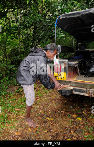 La recherche de l'homme hirudineans, Sri Lanka Banque D'Images