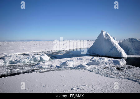 Iceberg polaire avec ouverture de la glace, l'Antarctique Banque D'Images