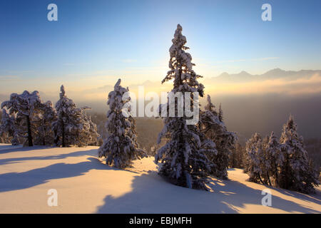 Vue panoramique depuis le Niederhorn couverte de neige sous le soleil du soir avec le triumvirat de l'Eiger (3970 m), Moench (4107 m) und Jungfrau (4158 m), Suisse, Oberland Bernois, Alpes Bernoises Banque D'Images