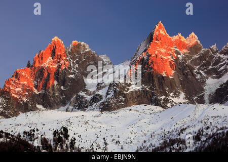 Sommets des Aiguilles de Chamonix dans l'alpenglow, France, Haute-Savoie Banque D'Images